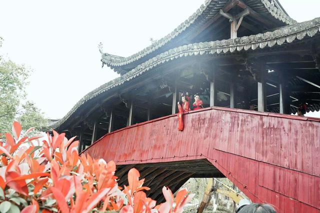 温州三垟湿地的历史，探寻传说中的161座小岛