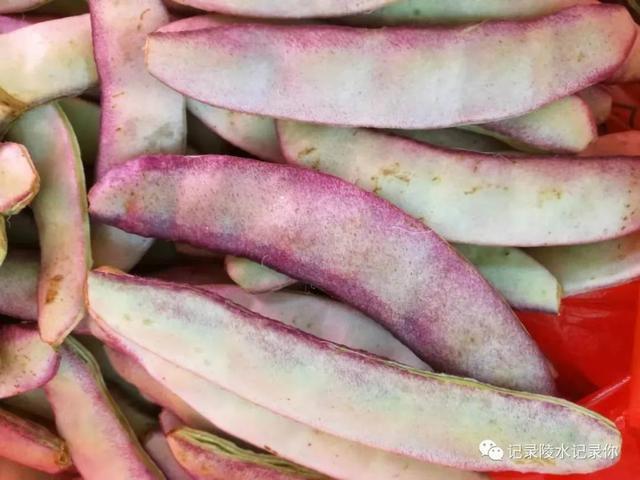 陵水民间习俗，南陵县的风俗（陵水大年初一“搬年货”）