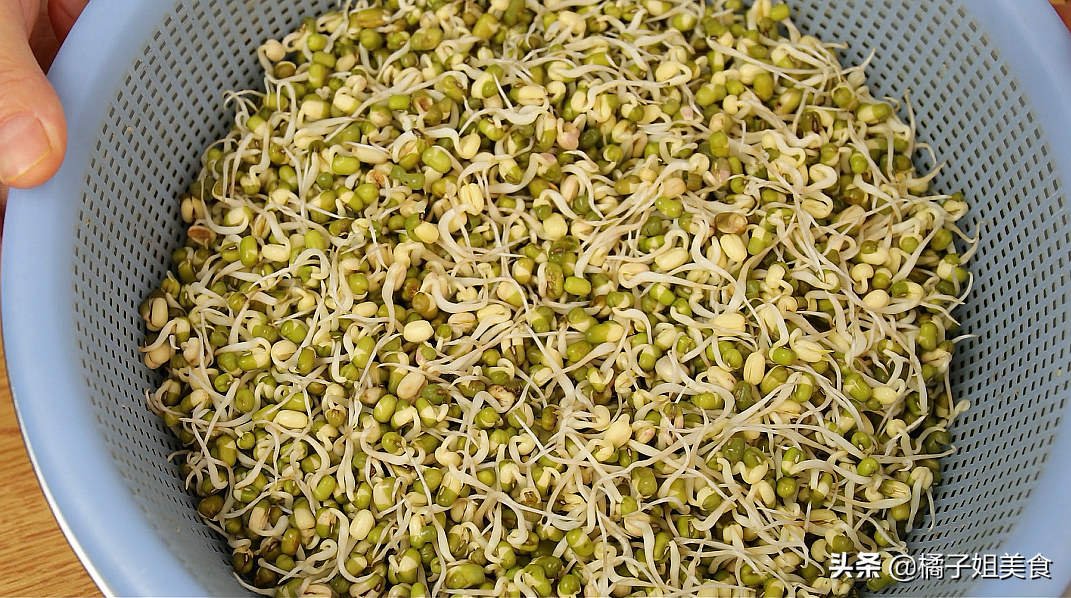 圖片[2]-如何在家生綠豆芽-起舞食譜網(wǎng)