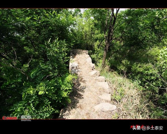 穆柯寨在现在的什么地方，穆柯寨在哪里（乡土泰安——肥城市王瓜店街办牛山穆柯寨）