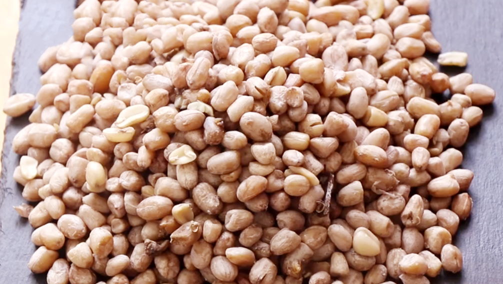 【蒜香花生米】做法步驟圖 比油炸更香 多吃也不易上火-起舞食譜網