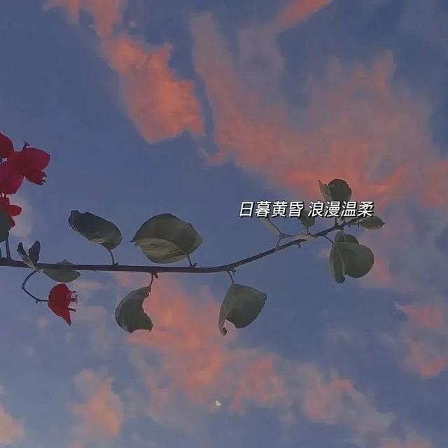 日出东方却落于四，日出东方却落于西（有没有一句文案让你记很久图片）