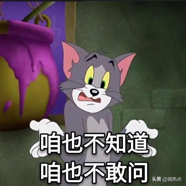 荔枝是什么意思网络用语，荔枝女孩是什么意思（2019年网络流行语来啦）