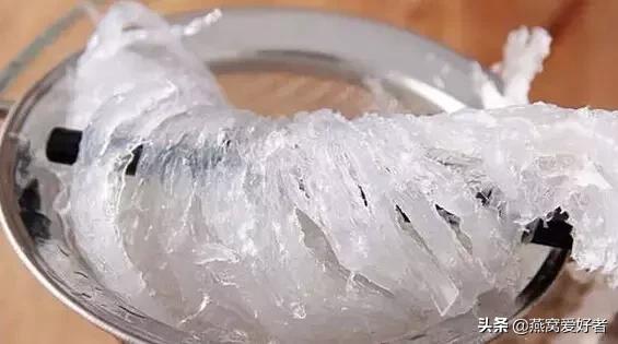 血燕是什么,血燕是什么味道(血燕是燕子吐血而成) 血燕是什么,血燕是什么味道(血燕是燕子吐血而成)