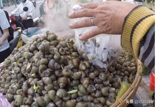 田螺怎么洗最快最干净，小窍门之——田螺怎么洗最快最干净（保证螺蛳吐沙彻底又干净）