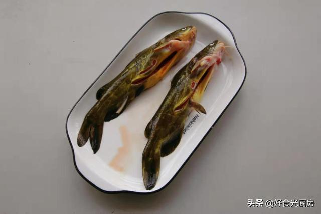 黄骨鱼是水黄蜂吗_黄蜂鱼跟黄骨鱼一样吗，黄骨鱼跟黄蜂鱼区别（这鱼小孩一餐能吃两条）