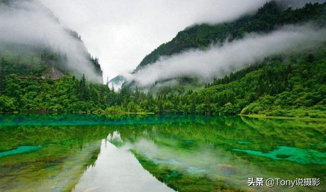 入门单反相机选哪款好，购机推荐：新手挑选单反相机