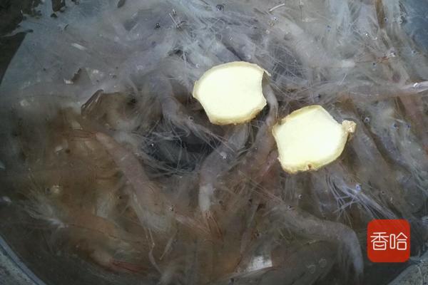 白虾怎么做好吃又简单，水煮白虾要怎样煮才好吃（比大虾都贵的小白虾）