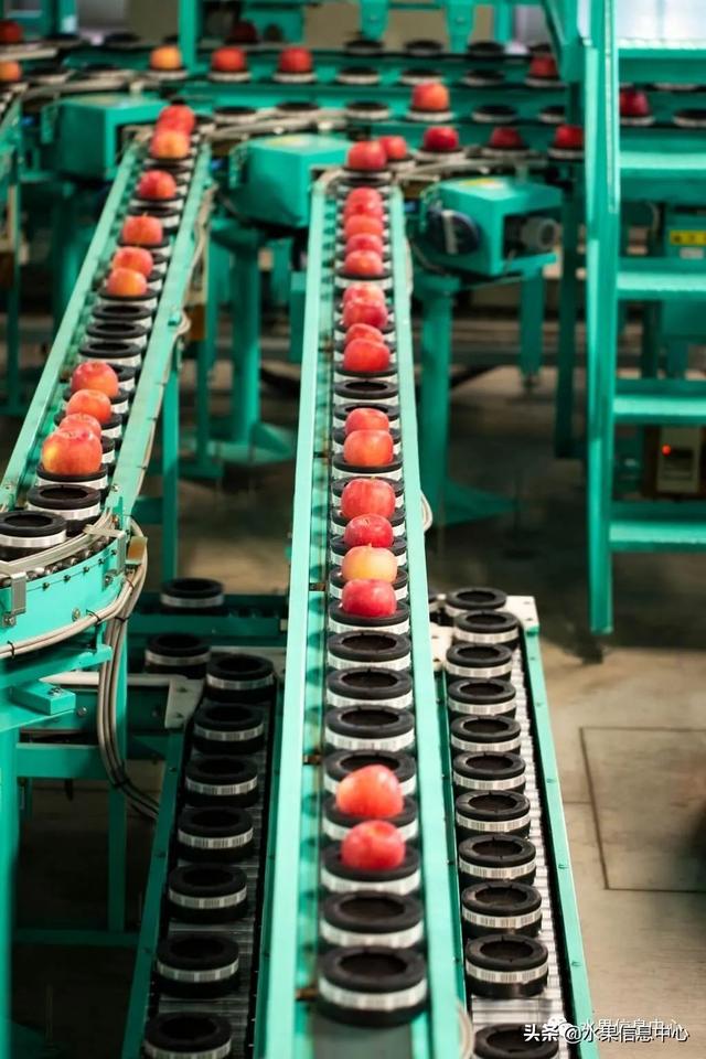 果蜜是什么，柠檬果蜜是什么（走进日本苹果第一大县“青森县”）