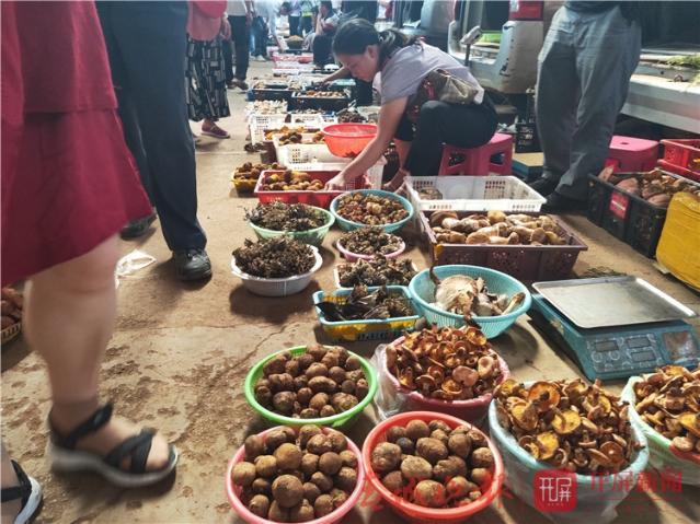 牛肝菌冷冻保存方法，牛肝菌冷冻保存方法图解（野生菌即将“退隐江湖”）