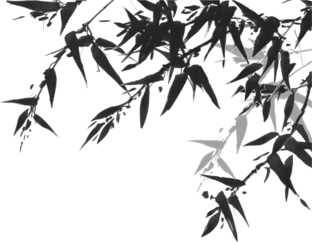 畚斗是哪里的方言，斗怎么读音是什么（诸暨话，最有个性的江南方言）