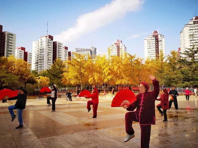 什么是文明鹭港，什么是文明鹭港校园（北京的文明鹭港体现在哪）