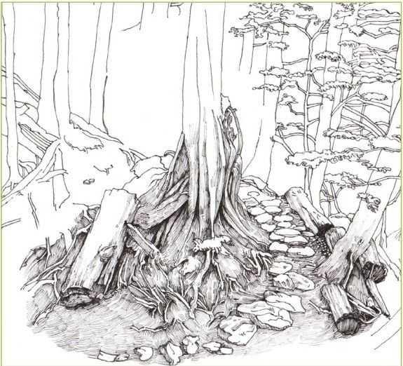 马克笔绘画教程风景画，马克笔绘画教程入门（适合初学者学习的彩铅风景画步骤教程）