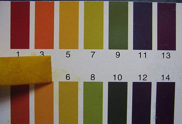 硫磺酸是什么（让绣球开出梦幻蓝）