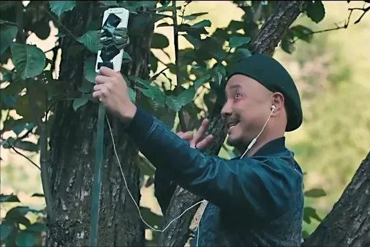 苹果手机连wifi网速很慢怎么解决，苹果手机WiFi网速慢怎么办（可以在一定程度上提升网速）