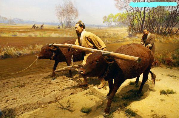 网络用语牛马是啥意思，网络用语牛马了是什么意思（汉字密码：“流氓”一词的来历）