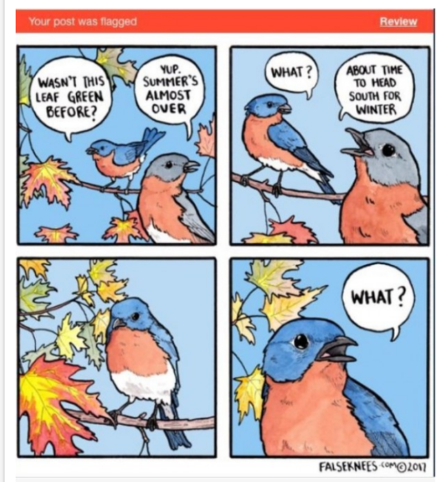 推特敏感内容博主有哪些，推特敏感内容（Tumblr全面禁止成人内容）