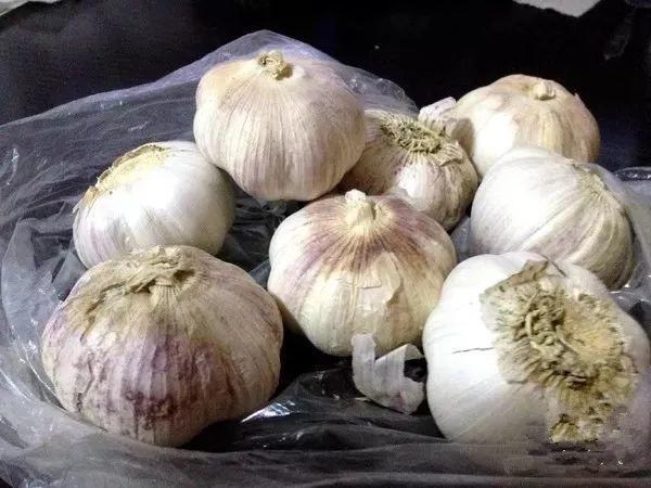 醋泡大蒜变绿色方法，立马变得绿油油