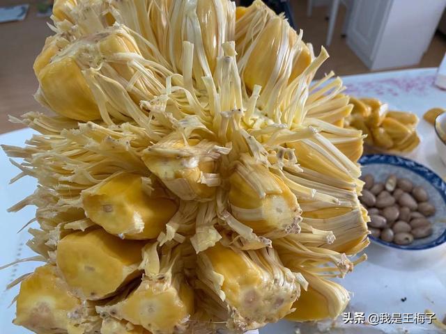 完整的菠萝蜜能放多久，完整的菠萝蜜可以放多久（5年前北方人很少吃菠萝蜜）