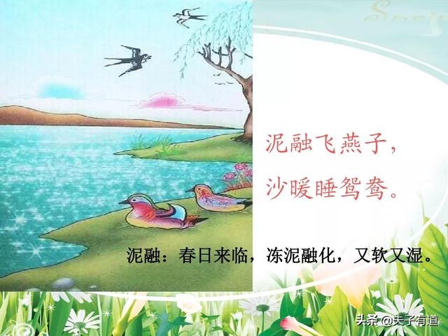 鸯字怎么组词，鸯字怎么组词三年级（部编版语文三年级下册第一单元汇总）