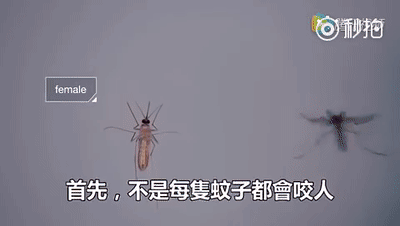 家有宝宝怎么驱蚊，家有宝宝驱蚊小妙招（真正有效的方法，只有这几种）