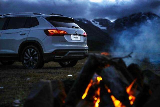 西班牙睡鼠认主人吗，很好养超级迷你宠物（到底为什么这么招人爱）