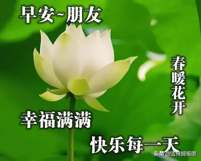 长一智的上一句是什么，长一智的上一句是什么意思（人生就是吃一堑，长一智，早安）