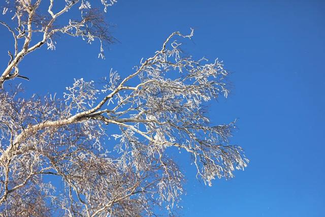 吉林市十大滑雪场，江南美女打卡吉林四大滑雪场