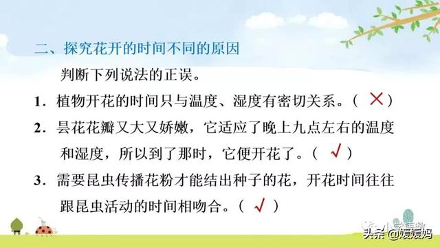 芬芳迷人的意思，芬芳迷人是什么意思解释一下（三年级下册语文第13课《花钟》图文详解及同步练习）