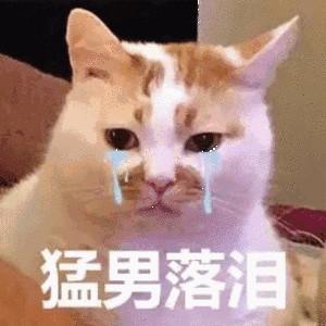 手机号多久不用会被注销(手机号多久没充话费会注销)