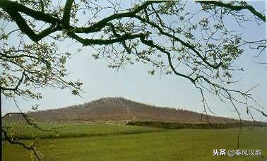 秦始皇陵位于哪里，秦始皇陵是在哪个地方（世界上最大的地下皇陵——秦始皇陵）