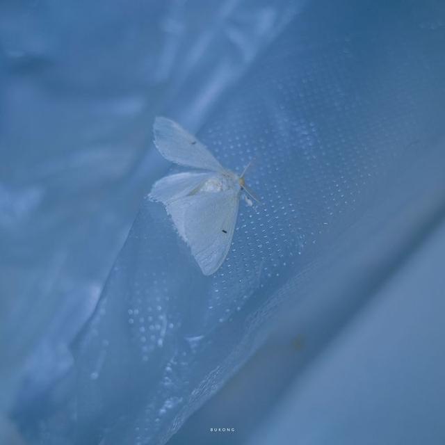 美好阳光且干净的女生头像  星空迷上了山野微信，美好阳光且干净的女生头像  星空迷上了山野，有雾有灯也有归人。（有哪些好看非人物的头像）