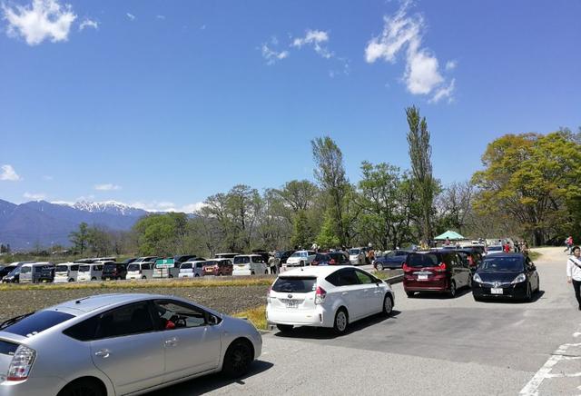 芥末为什么叫瓦萨比，瓦沙米是芥末吗（终于去了安昙野大王山葵农场）