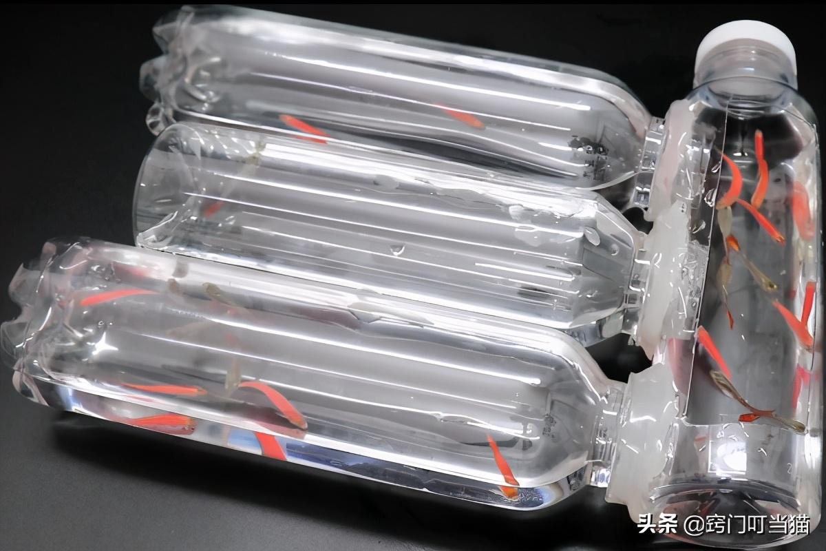 变废为宝简单又漂亮的手工教程，4个瓶子简单变废为宝的制作