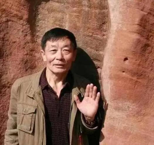 野鸭的种类有哪些，野鸭子有哪几种（TA就是野鸭中最靓的仔）