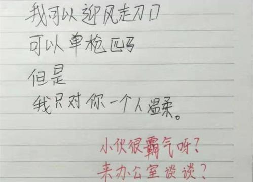 简单朴实不肉麻的情书，简单朴实不肉麻的情书200字（小学生写的8封“情书”）