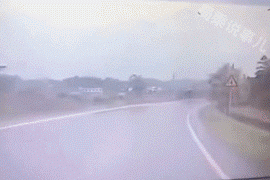 开黄车什么意思，我要开黄车是什么意思（动图警示，飞车为何会上树）