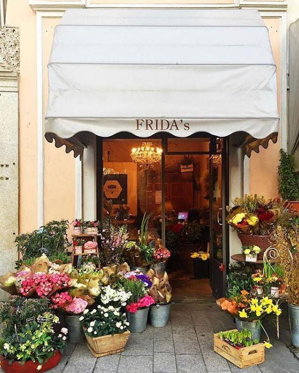 鲜花店怎么开(工艺鲜花店怎么开)