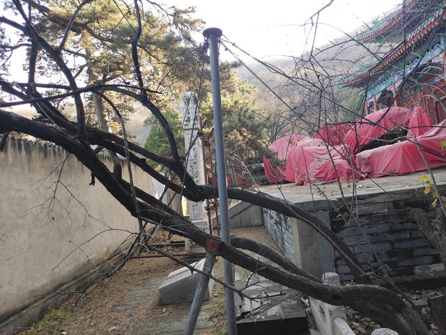 戒台寺与潭柘寺区别，戒台寺与潭柘寺区别是什么（戒台寺一日游）