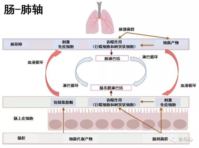 sfb是什么意思，sfnb是什么意思（你必须知道的热知识<二>）