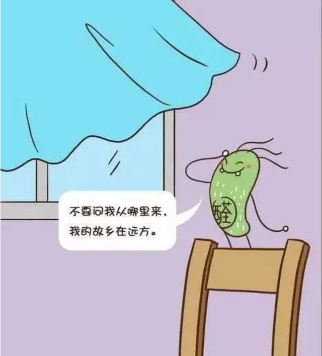 甲醛是什么，甲醛是什么东西释放出来的（让人“谈虎色变”的甲醛究竟是什么）