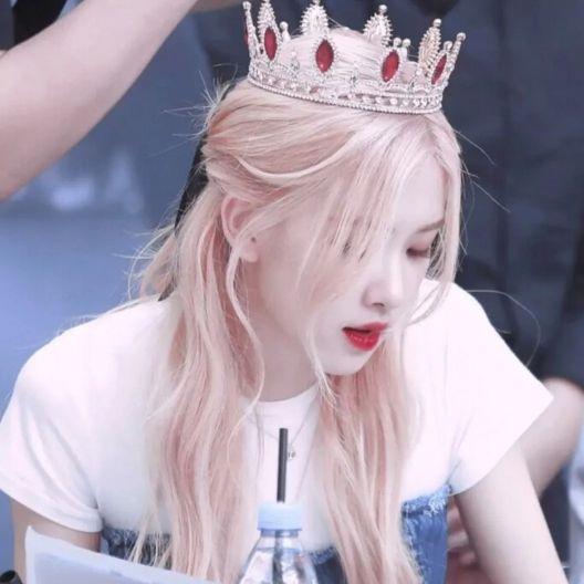 /江樱/ 澳洲野玫瑰朴彩英头像1弹微信，/江樱/ 澳洲野玫瑰朴彩英头像1弹（Rose头像壁纸澳洲野玫瑰）