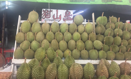 新加坡旅游多少钱(如何移民新加坡)