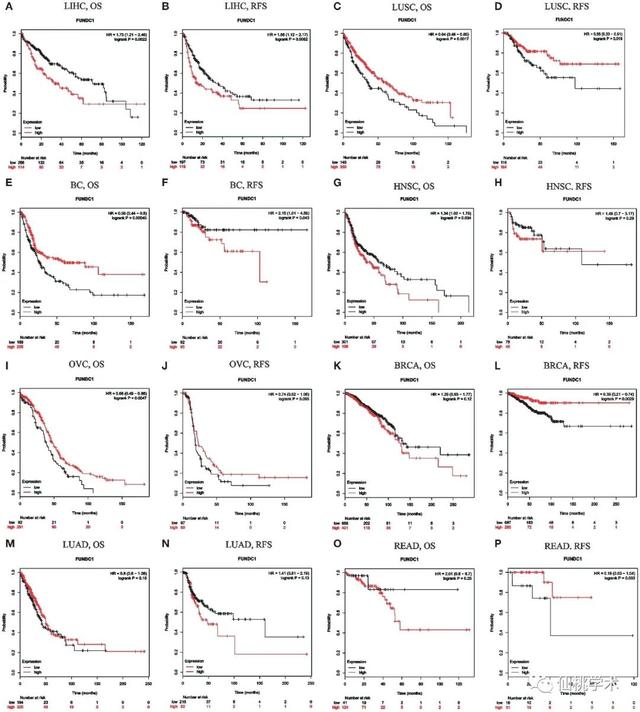 excel左右拉条不见了，excel的左右滚动条不见了（单基因泛癌免疫分析）