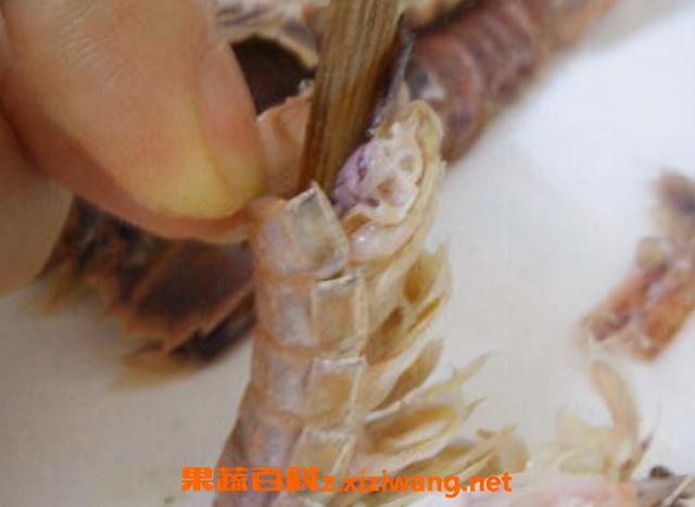 活虾怎样剥壳好剥，活虾怎么快速剥虾壳（东盛澜丨生虾怎么去皮）