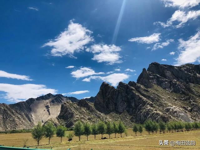 美育教育的意义，美育教育的意义600字论文（美育教育能有多重要）