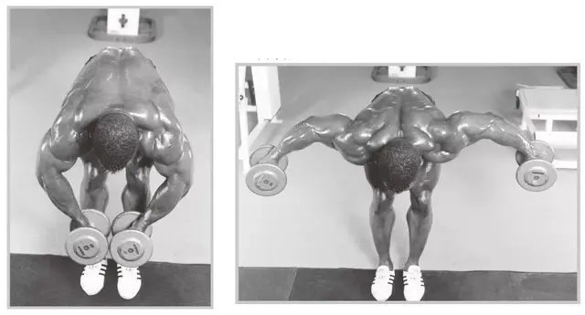 三角肌和斜方肌怎么一起练，三角肌和斜方肌几天练一次好（练好能撑起你的“男人味”）