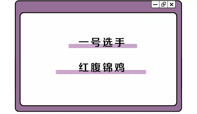 中国的国鸟是什么鸟,中国的国鸟是什么动物(绝大多数的人都不知道) 中国的国鸟是什么鸟,中国的国鸟是什么动物(绝大多数的人都不知道)