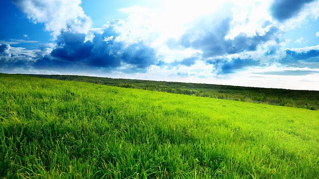 桢字在名字中的寓意，桢字在名字中的寓意女孩（10个《诗经》优雅大气的男孩名字）