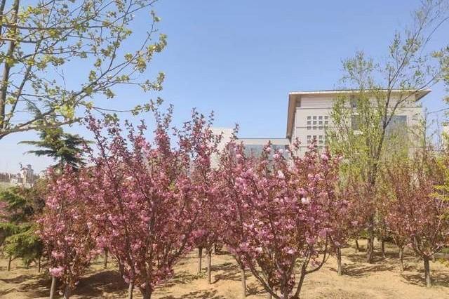 大连财经学院学费，2021年大连财经学院录取通知书查询入口_什么时候收到及发放时间（<八>大连财经学院）